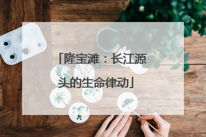 隆宝滩：长江源头的生命律动