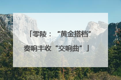 零陵：“黄金搭档”奏响丰收“交响曲”