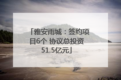 雅安雨城：签约项目6个 协议总投资51.5亿元