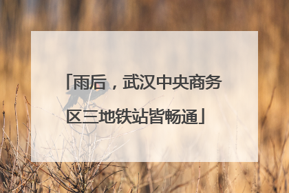 雨后，武汉中央商务区三地铁站皆畅通