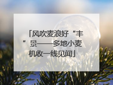 风吹麦浪好“丰”景——多地小麦机收一线见闻