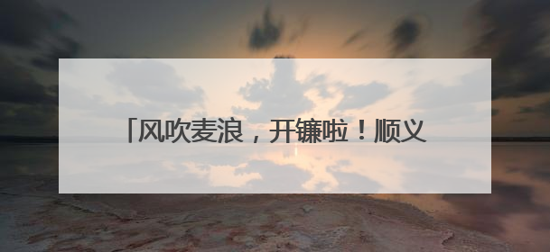 风吹麦浪，开镰啦！顺义15万亩小麦迎来丰收
