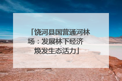 饶河县国营通河林场：发展林下经济 焕发生态活力