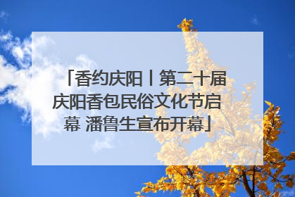 香约庆阳丨第二十届庆阳香包民俗文化节启幕 潘鲁生宣布开幕