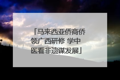 马来西亚侨商侨领广西研修 学中医看非遗谋发展