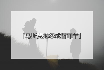 马斯克抱怨成替罪羊