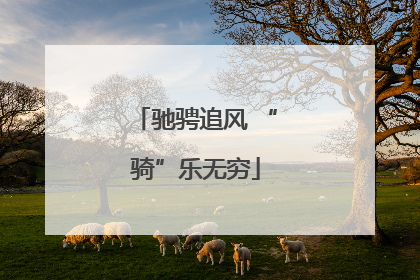 驰骋追风 “骑”乐无穷