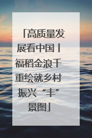 高质量发展看中国丨福稻金浪千重绘就乡村振兴“丰”景图