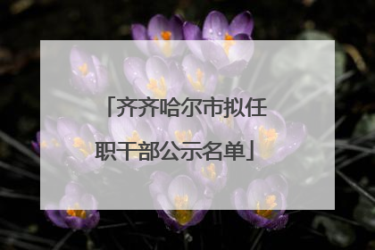 齐齐哈尔市拟任职干部公示名单