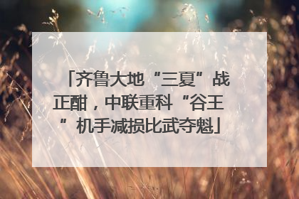 齐鲁大地“三夏”战正酣，中联重科“谷王”机手减损比武夺魁