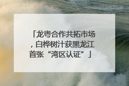 龙粤合作共拓市场，白桦树汁获黑龙江首张“湾区认证”