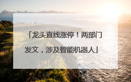 龙头直线涨停！两部门发文，涉及智能机器人