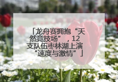 龙舟赛拥抱“天然竞技场”，12支队伍枣林湖上演“速度与激情”