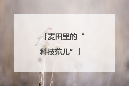 麦田里的“科技范儿”
