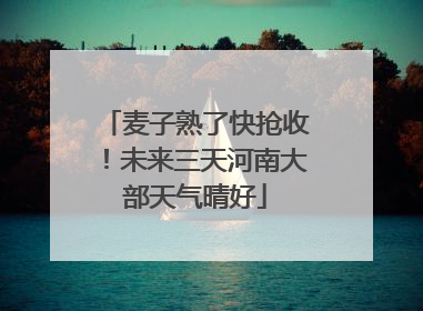 麦子熟了快抢收！未来三天河南大部天气晴好