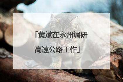 黄斌在永州调研高速公路工作