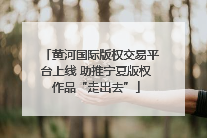 黄河国际版权交易平台上线 助推宁夏版权作品“走出去”