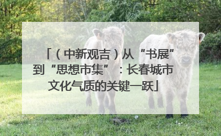 （中新观吉）从“书展”到“思想市集”：长春城市文化气质的关键一跃