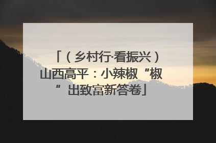 （乡村行·看振兴）山西高平：小辣椒“椒”出致富新答卷