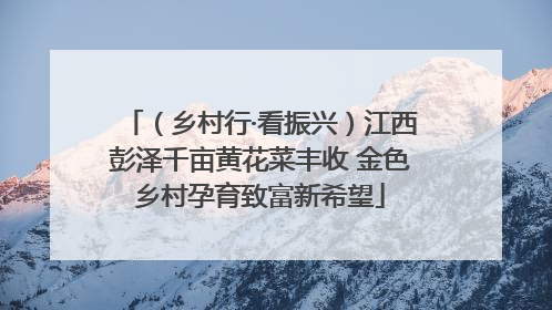 （乡村行·看振兴）江西彭泽千亩黄花菜丰收 金色乡村孕育致富新希望
