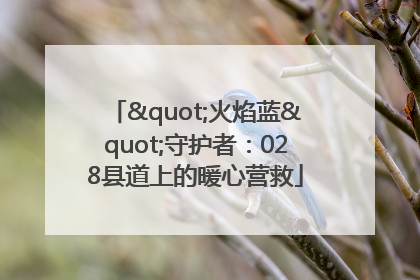 "火焰蓝"守护者：028县道上的暖心营救