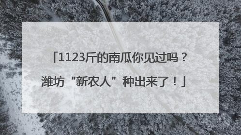 1123斤的南瓜你见过吗？潍坊“新农人”种出来了！