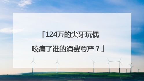 124万的尖牙玩偶 咬痛了谁的消费尊严？