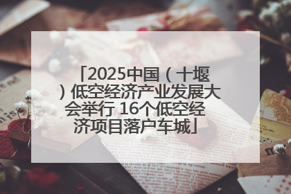 2025中国（十堰）低空经济产业发展大会举行 16个低空经济项目落户车城
