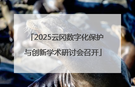 2025云冈数字化保护与创新学术研讨会召开