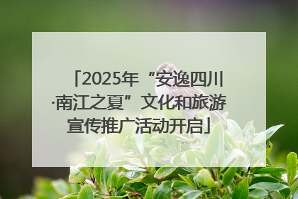 2025年“安逸四川·南江之夏”文化和旅游宣传推广活动开启