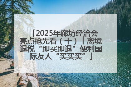 2025年廊坊经洽会亮点抢先看（十）丨离境退税“即买即退”便利国际友人“买买买”