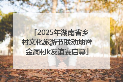 2025年湖南省乡村文化旅游节联动地暨金洞村k友谊赛启幕