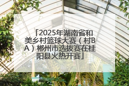2025年湖南省和美乡村篮球大赛（村BA）郴州市选拔赛在桂阳县火热开赛