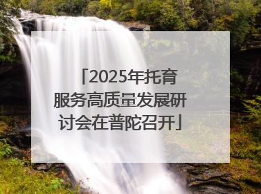 2025年托育服务高质量发展研讨会在普陀召开