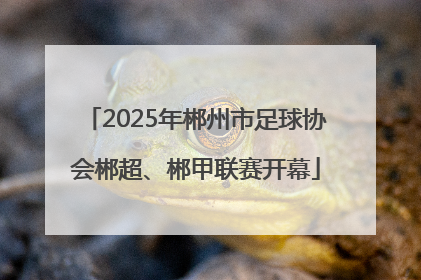 2025年郴州市足球协会郴超、郴甲联赛开幕