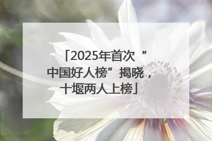 2025年首次“中国好人榜”揭晓，十堰两人上榜