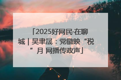 2025好网民·在聊城｜吴聿晟：党徽映“税”月 网播传政声
