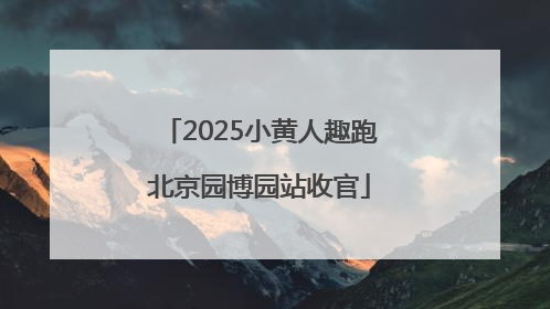 2025小黄人趣跑北京园博园站收官