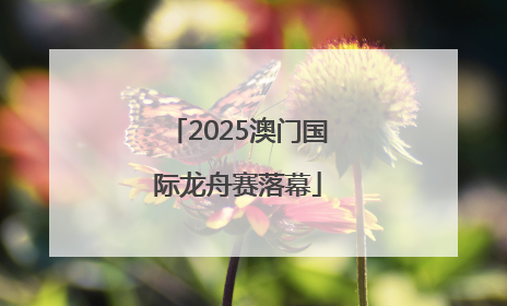 2025澳门国际龙舟赛落幕