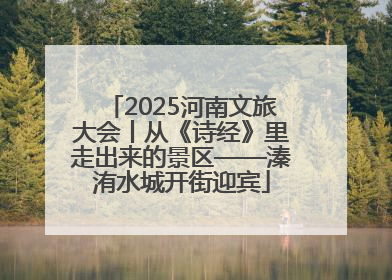 2025河南文旅大会丨从《诗经》里走出来的景区——溱洧水城开街迎宾