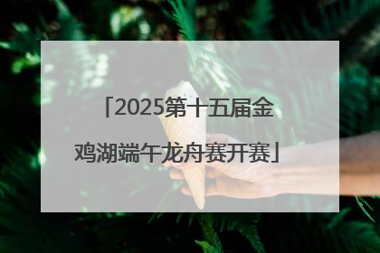 2025第十五届金鸡湖端午龙舟赛开赛
