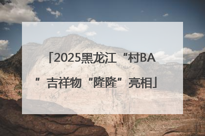 2025黑龙江“村BA”吉祥物“隆隆”亮相