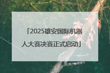 2025雄安国际机器人大赛决赛正式启动