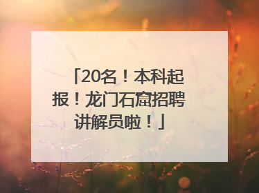 20名！本科起报！龙门石窟招聘讲解员啦！