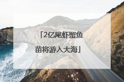 2亿尾虾蟹鱼苗将游入大海