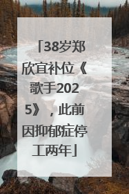 38岁郑欣宜补位《歌手2025》，此前因抑郁症停工两年