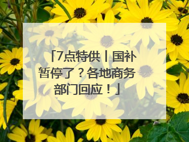 7点特供丨国补暂停了？各地商务部门回应！