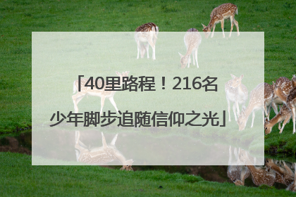 40里路程！216名少年脚步追随信仰之光