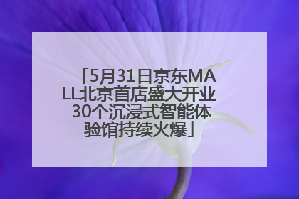 5月31日京东MALL北京首店盛大开业 30个沉浸式智能体验馆持续火爆