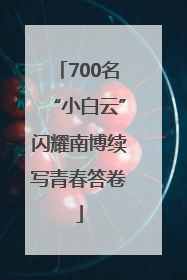 700名“小白云”闪耀南博续写青春答卷